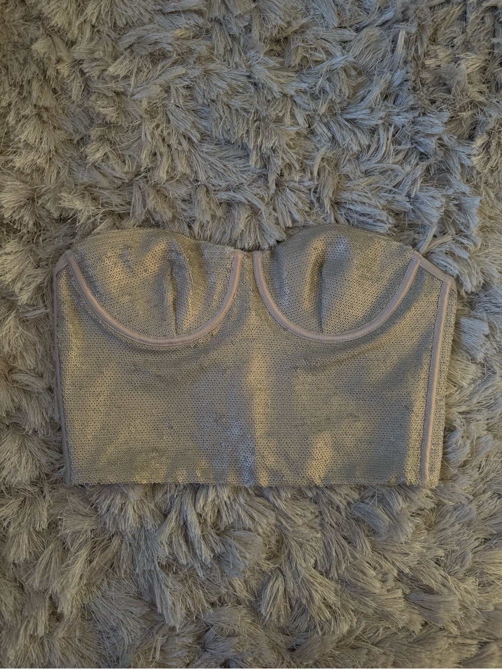 Zara Metallic Beige Strapless Bustier Top